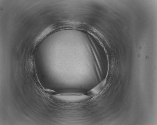 X0000083561354200702231552