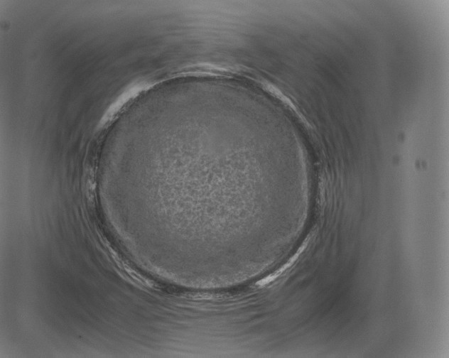 X0000083561355200702231552