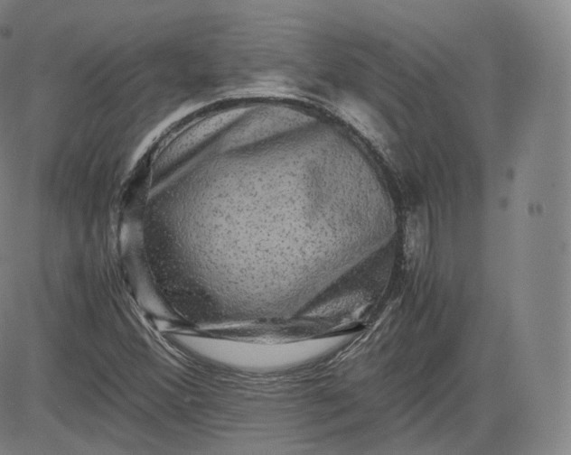 X0000083561356200702231552