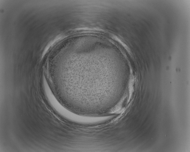 X0000083561357200702231552