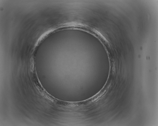 X0000083561358200702231552