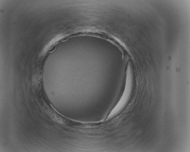 X0000083561359200702231552