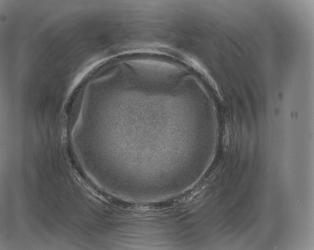 X0000083561360200702231552