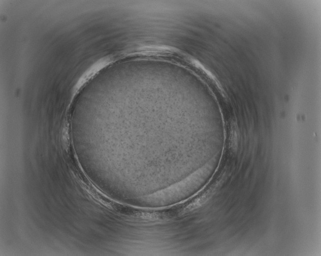 X0000083561362200702231552