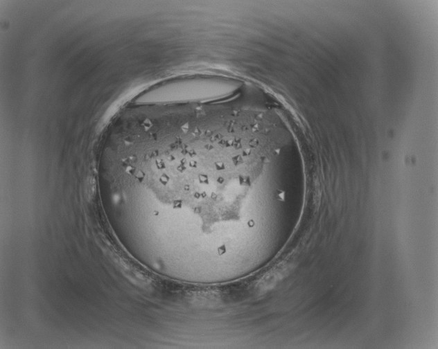 X0000083561363200702231552