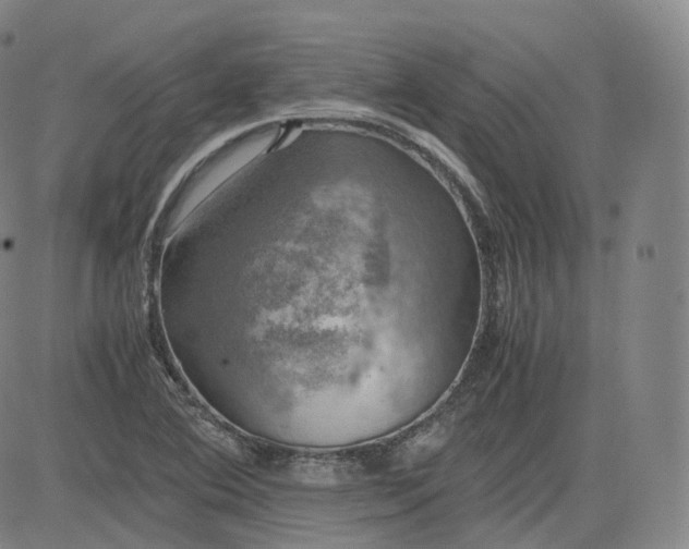 X0000083561364200702231552