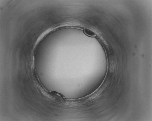 X0000083561366200702231552