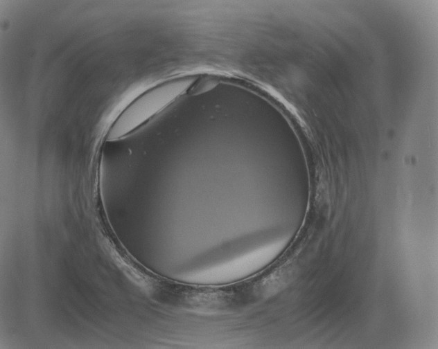 X0000083561367200702231552