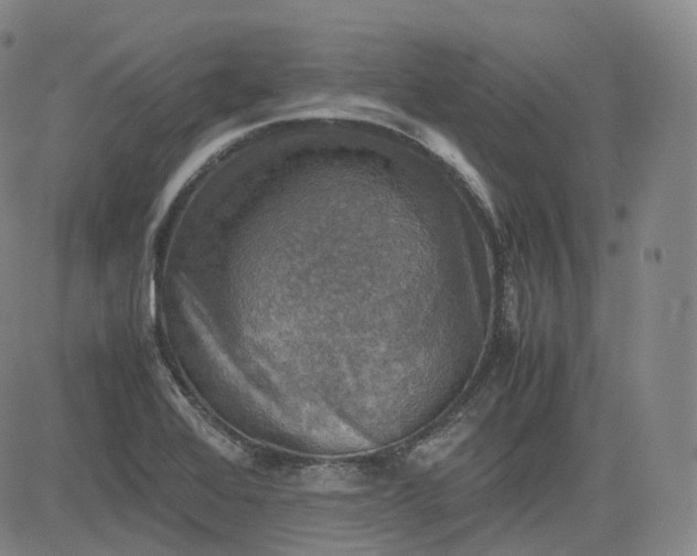 X0000083561368200702231552