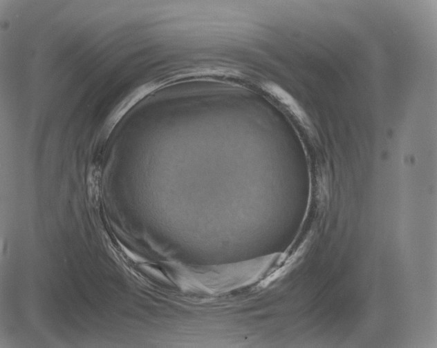 X0000083561369200702231552