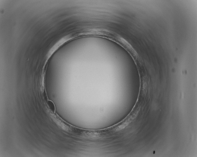 X0000083561370200702231552