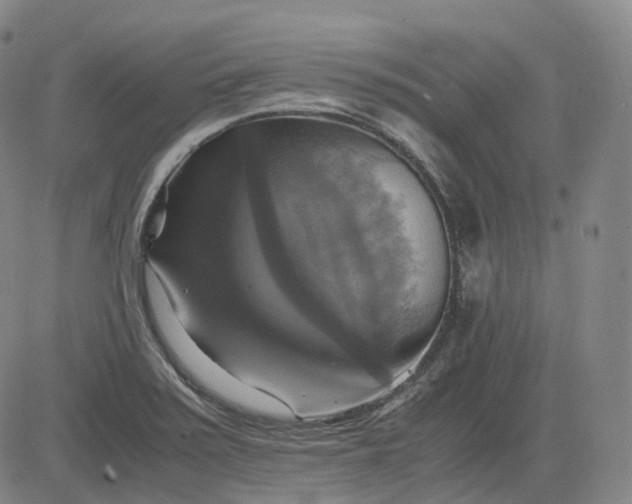 X0000083561371200702231552