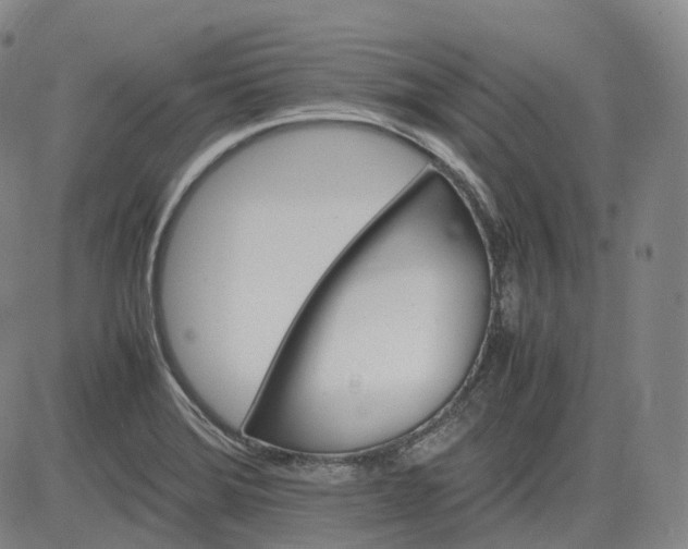 X0000083561372200702231552