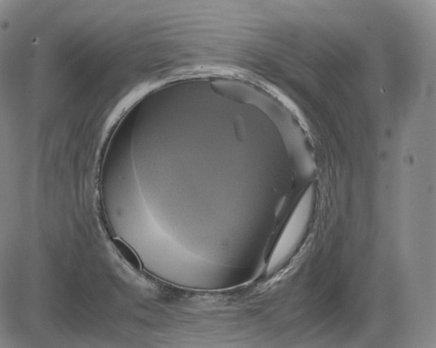 X0000083561373200702231552