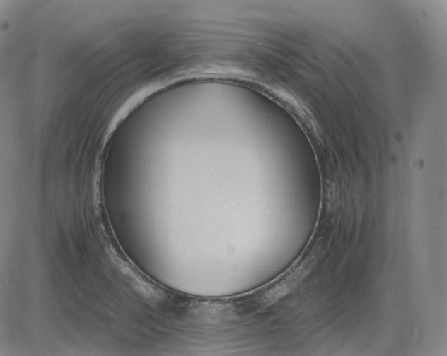 X0000083561374200702231552