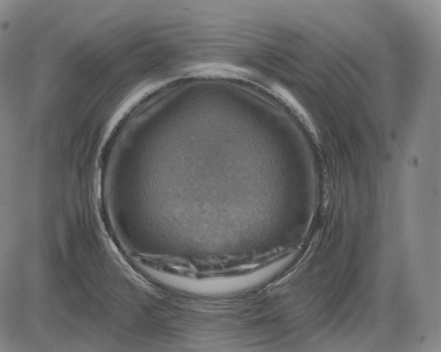 X0000083561376200702231552