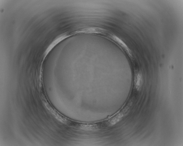 X0000083561378200702231552