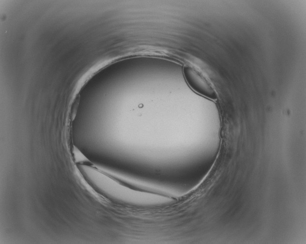 X0000083561379200702231552