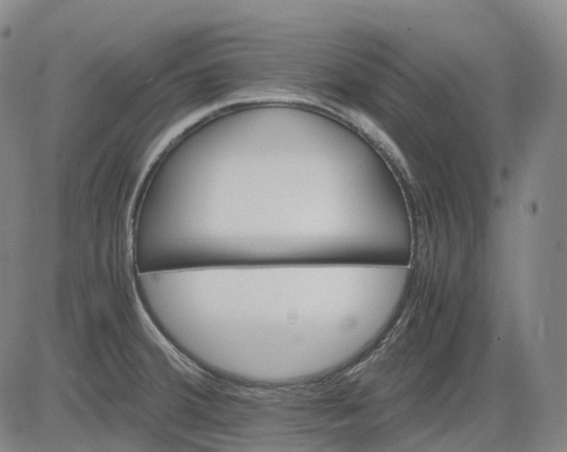 X0000083561380200702231552