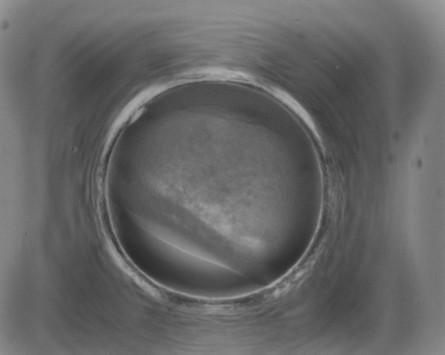 X0000083561381200702231552