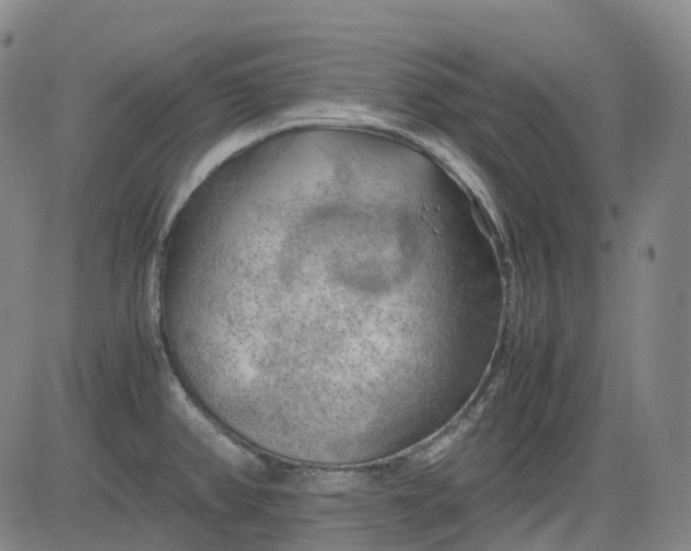 X0000083561382200702231552