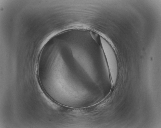 X0000083561383200702231552