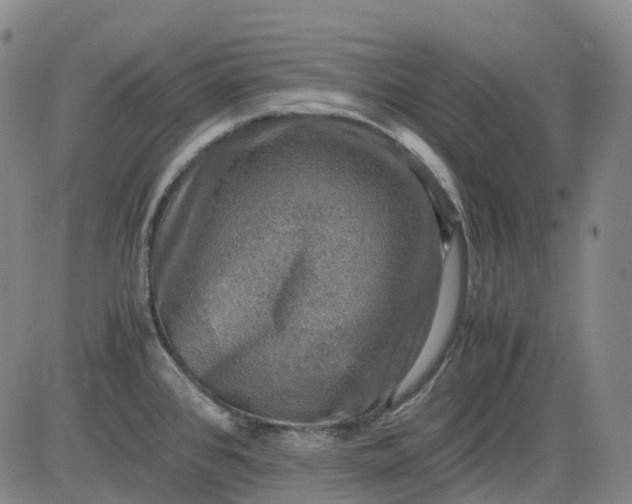 X0000083561384200702231552