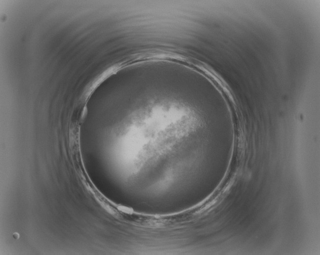 X0000083561385200702231552