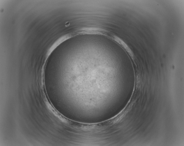 X0000083561386200702231552