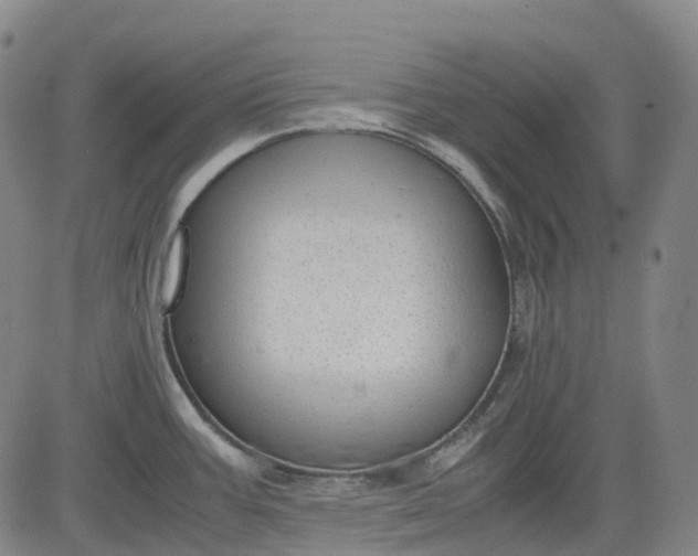 X0000083561387200702231552