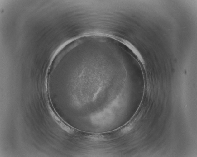 X0000083561388200702231552