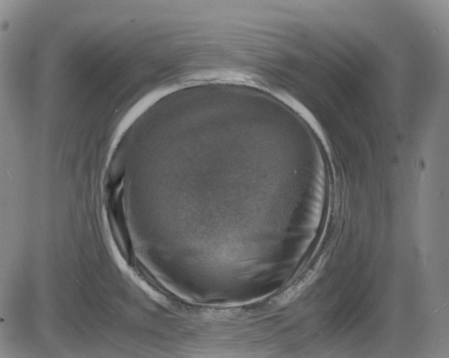 X0000083561389200702231552