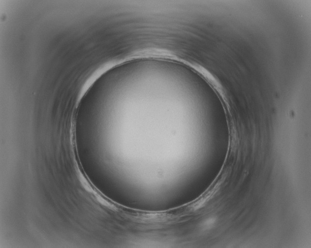 X0000083561390200702231552