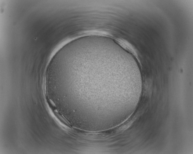 X0000083561391200702231552