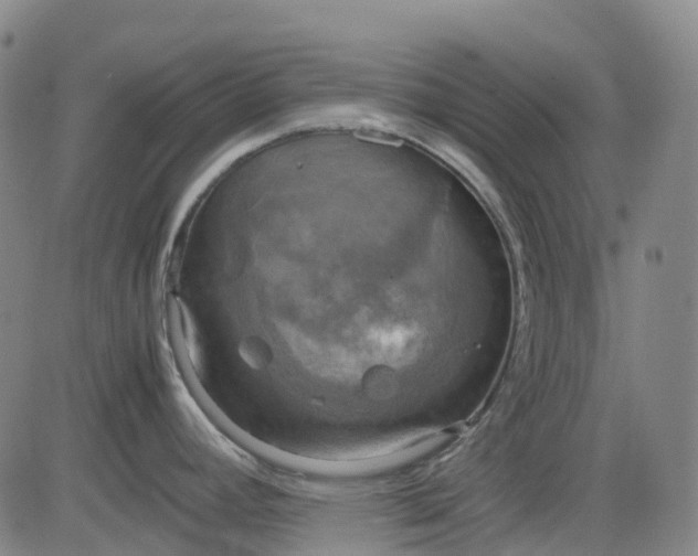 X0000083561392200702231552