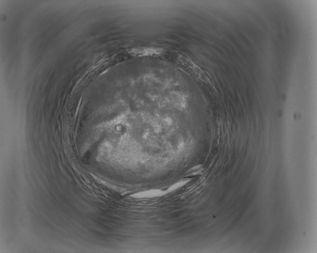 X0000083561393200702231551