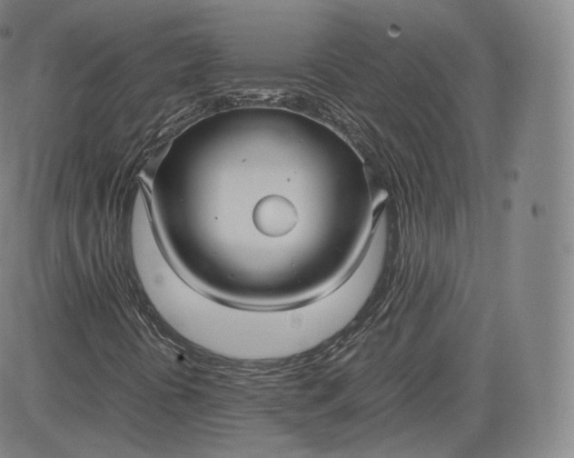 X0000083561394200702231551