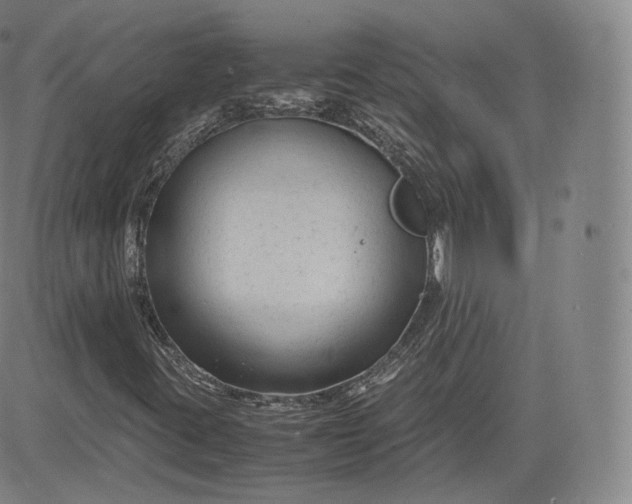 X0000083561395200702231551