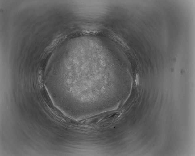 X0000083561396200702231551