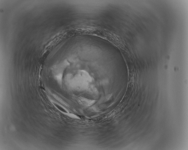 X0000083561397200702231551