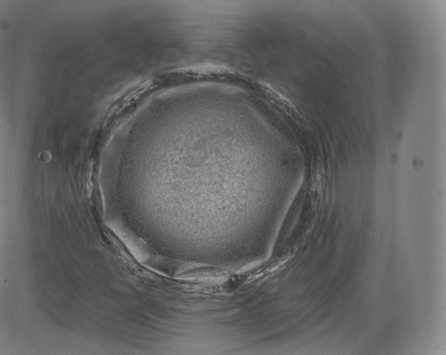 X0000083561398200702231551