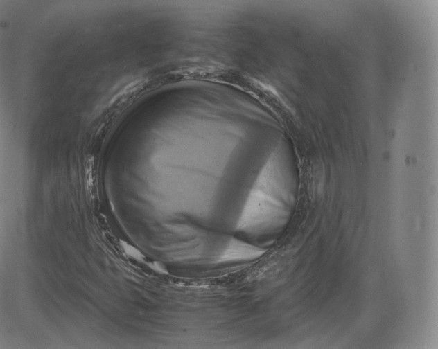 X0000083561399200702231551