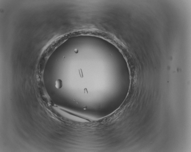 X0000083561400200702231551