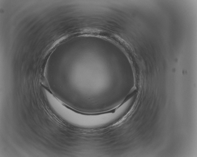 X0000083561401200702231551