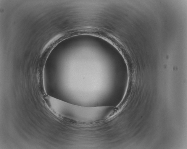 X0000083561402200702231551