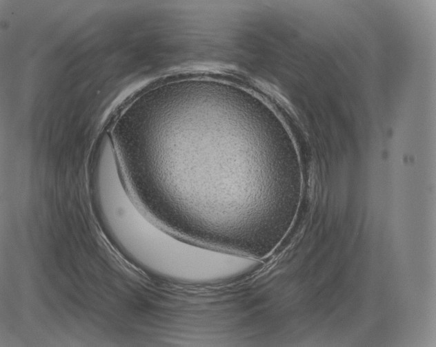 X0000083561404200702231551