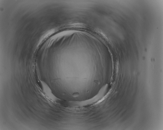 X0000083561405200702231551