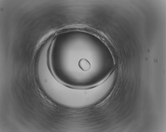 X0000083561406200702231551