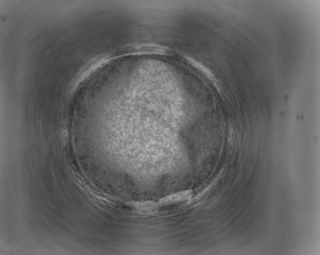 X0000083561407200702231551