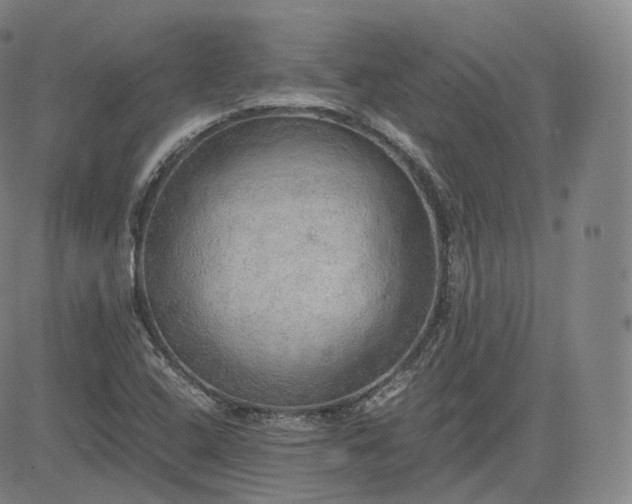 X0000083561408200702231551